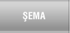 Şema